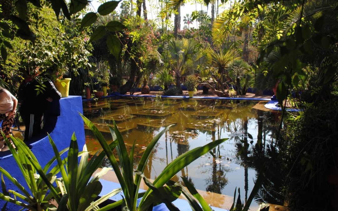 4 idées pour une bordure de bassin naturelle et esthétique