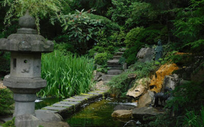 Quel aménagement pour un bassin de jardin ?