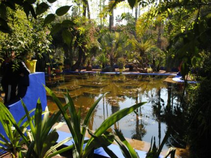 Bordure de bassin